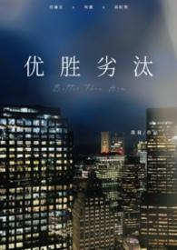 提灯看刺刀讲的什么故事