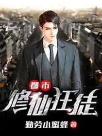 奋斗在红楼免费阅读