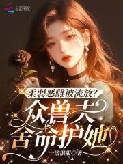 花与剑与法兰西作者